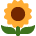 :sunflower: