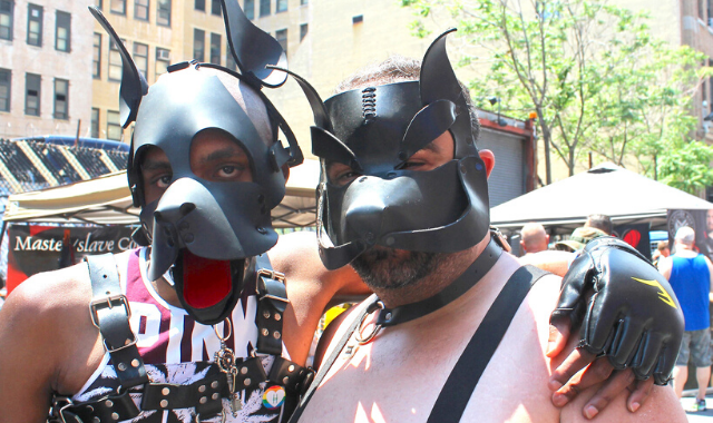 bdsm-pups-auf-parade.png